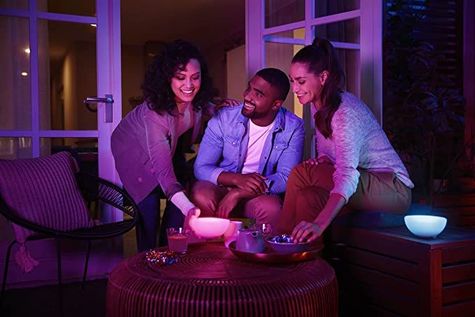 Lampe connect�e Philips Hue Go - V2 image 1 | Rakuten