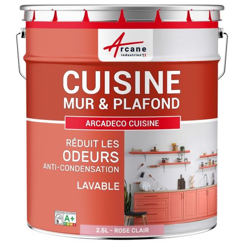 Peinture cuisine lessivable absorbe les odeurs Rose clair RAL 3015 2.5 L