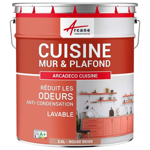 Peinture cuisine lessivable absorbe les odeurs Rouge beige RAL 3012 2.5 L
