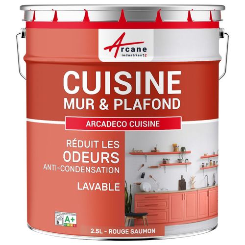 Peinture cuisine lessivable absorbe les odeurs Rouge saumon RAL 302 2.5 L