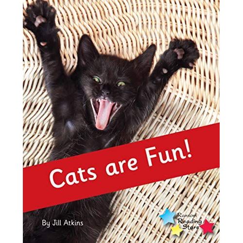 Cats Are Fun!