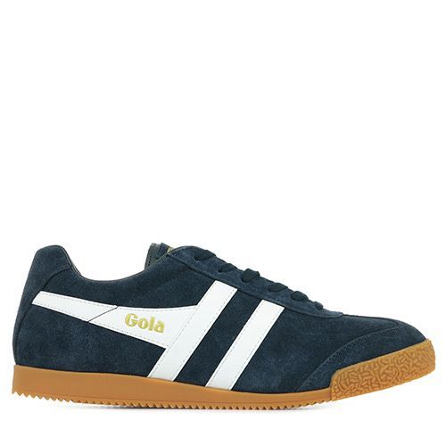 Gola Harrier