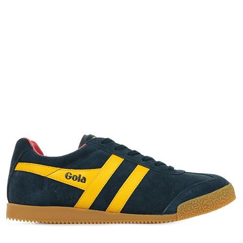Gola Harrier