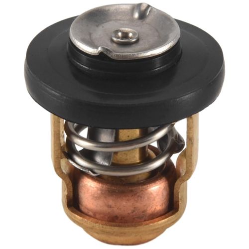 Remplacement Du Thermostat Extérieur À 50 Degrés Pour 6 Chevaux À 40 Chevaux 2 Temps
