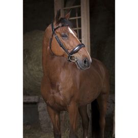 Bridon Norton Pro "Confort" - Couleur : Noir, Taille : Cheval