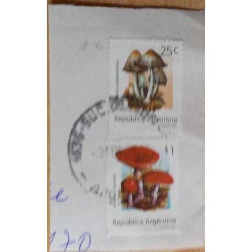 Deux Timbres Argentins Oblitérés, Représentant Des Champignons : Coprinus À 25c Et Amanita À 1 Dollar.