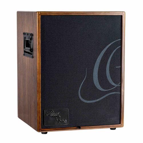 Ortega Cone-Wnd - Ampli Combo Guitare Acoustique - 100w (+Housse)