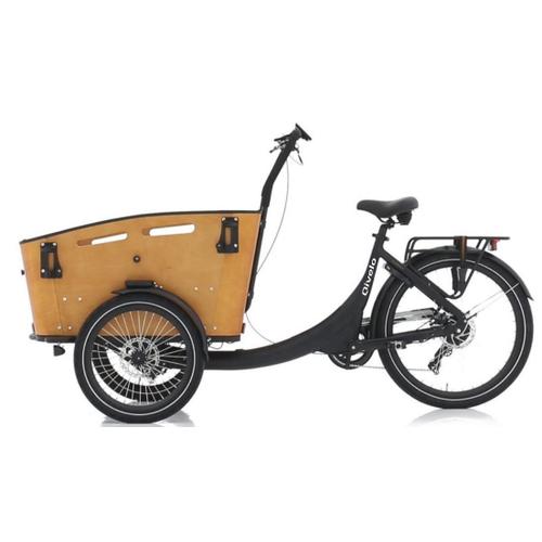 Tricyle Électrique - Vélo Cargo - Qivelo Curve Dr7 - 481wh - Shimano 7 Vitesses