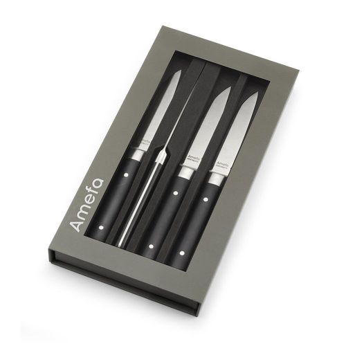 Coffret 4 Couteaux Steak Fusion