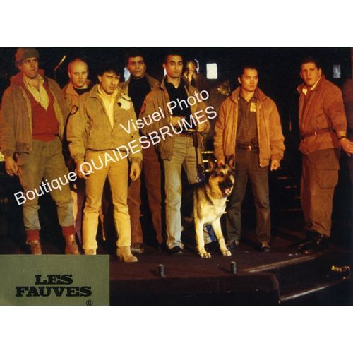 Les Fauves : Photo Glacée D'exploitation Cinématographique - Format 24x30 Cm - De Jean-Louis Daniel Avec Philippe Léotard, Daniel Auteuil, Gabrielle Lazure, Florent Pagny, Valérie Mairesse - 1984