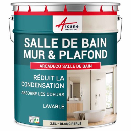 Peinture salle de bain mur plafond condensation Blanc Perlé - RAL 1013 2.5 L