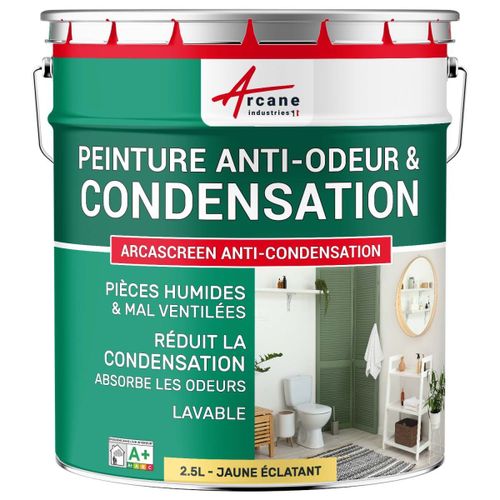 Peinture anti condensation anti odeur moisissure Jaune éclatant RAL 095 90 50 2.5 L
