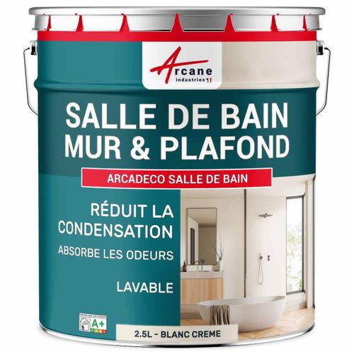 Peinture salle de bain mur plafond condensation Blanc Crème 2.5 L