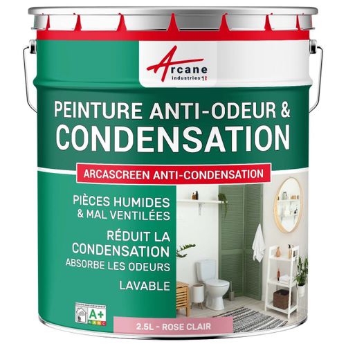 Peinture anti condensation anti odeur moisissure Rose Clair - RAL 3015 2.5 L