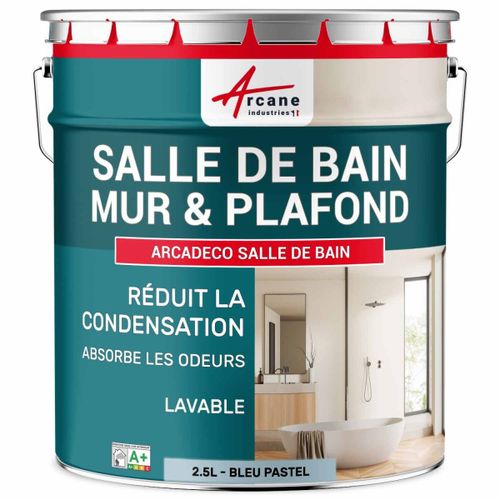 Peinture salle de bain mur plafond condensation Bleu Pastel - RAL 5024 2.5 L
