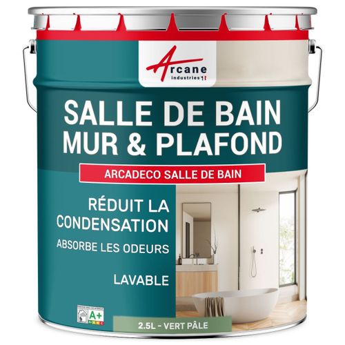 Peinture salle de bain mur plafond condensation Vert Pâle - RAL 6021 2.5 L