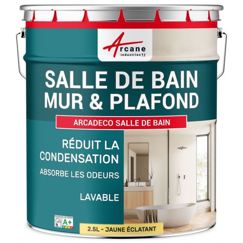 Peinture salle de bain mur plafond condensation Jaune éclatant RAL 095 90 50 2.5 L