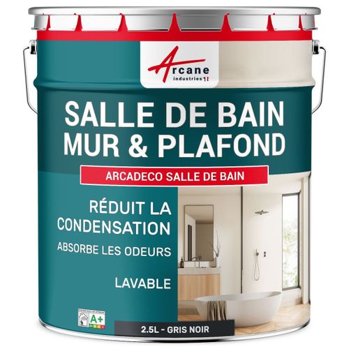 Peinture salle de bain mur plafond condensation Gris noir RAL 7021 2.5 L