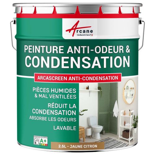 Peinture anti condensation anti odeur moisissure Jaune citron RAL 1012 2.5 L