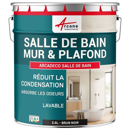 Peinture salle de bain mur plafond condensation Brun noir RAL 8022 2.5 L