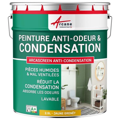 Peinture anti condensation anti odeur moisissure Jaune Genet - RAL 1032 2.5 L