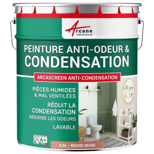 Peinture anti condensation anti odeur moisissure Rouge beige RAL 3012 2.5 L