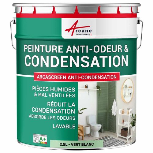 Peinture anti condensation anti odeur moisissure Vert Blanc - RAL 6019 2.5 L