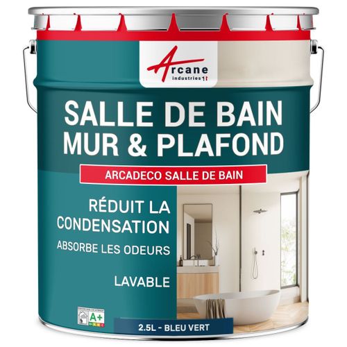 Peinture salle de bain mur plafond condensation Bleu saphir RAL 5003 2.5 L