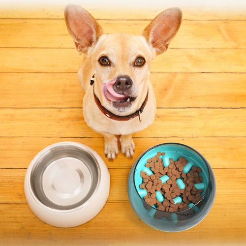Distributeur De Capsules Pour Chiot, Bols À Alimentation Lente Pour Chien, Récipient À Nourriture, Gobelet Pour Chiens, Fournitures Inclinées Pour Éviter Les Chocs
