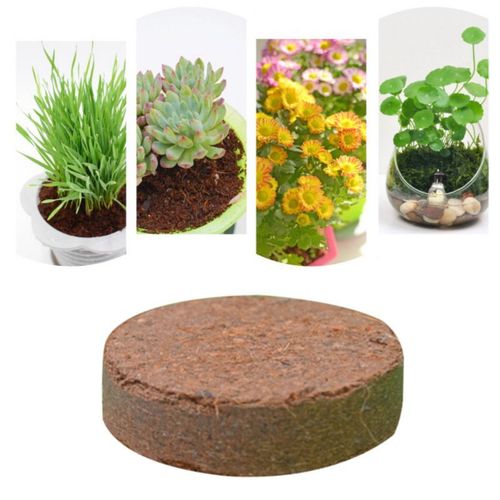 Brique De Substrat En Fiber De Noix De Coco Naturelle, Sol Essentiel Pour Les Terrariums De Reptiles, Approvisionnement En Aquarium