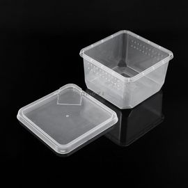Mangeoire De Terrarium Pour Reptiles, Boîte D'élevage De Tortue Araignée Lézard Maison D'insecte