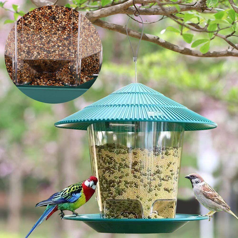 Acheter Mangeoire pour oiseaux fenêtre perroquet distributeur de