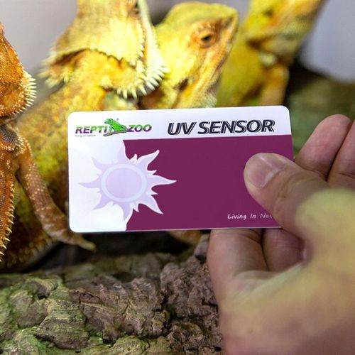 Carte De Test Uvb Pour Terrarium De Reptiles, Papier De Test De La Durée De Vie De La Lampe Uv