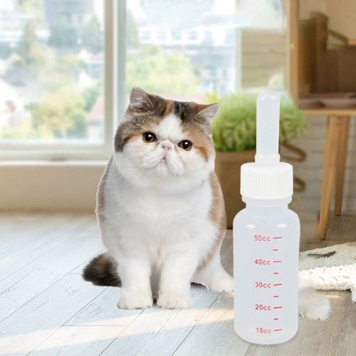 Biberon D'alimentation En Plastique Pour Chaton, Chiot, Kit D'alimentation Pour Nouveau-Né, Hamster, Chiot