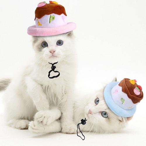 Chapeau En Peluche Décoratif Pour Animaux De Compagnie, En Forme De Gâteau, Costume De Cosplay Pour Chien, Chapeau Pour Chaton, Costume De Fête D'halloween Pour Chat