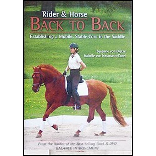 Rider And Horse Back-To-Back