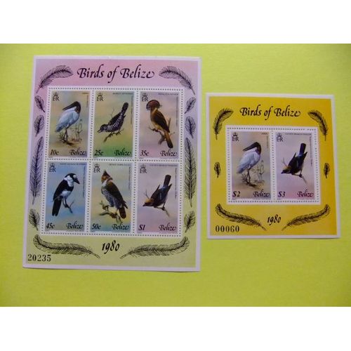 50 Belize 1980 / Faune Oiseaux Pajaros Oiseaux / Yvert 14 / 15 Mnh Fiche Souvenir