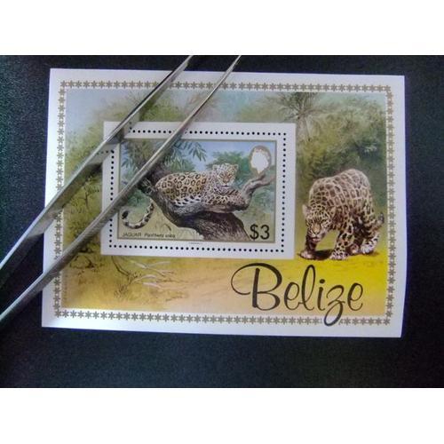 50 Belize 1983 / Protection De La Faune / Yvert Bloc 50 Mnh