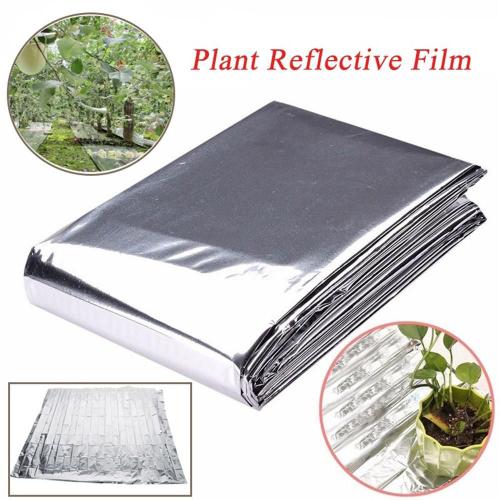 Film Réfléchissant Petp Pour Plantes, 210x120cm, Serre De Jardin, Feuille De Couverture Murale, Accessoires De Jardinage Et De Plantation