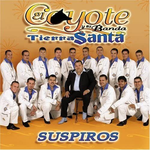 Suspiros