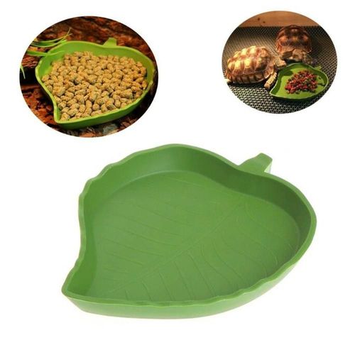 Mangeoire Pour Reptiles Amphibiens En Plastique, Bassin D'alimentation Pour Terrarium, Tortue, Lézard, Chenille, Bol, Fontaine D'eau Pour Tortues