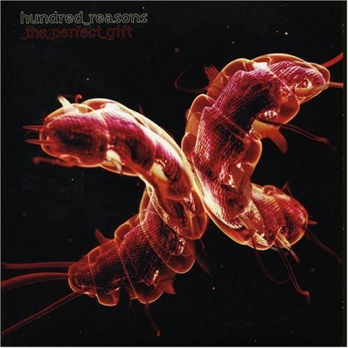 Perfect Gift [7" Vinyl]