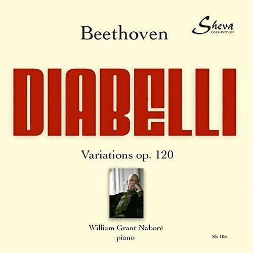 Beethoven: Diabelli Variations