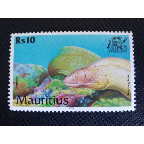 Timbre Ile Maurice Y T 955 Murène Grise (Siderea Grisea) 2000 ( 170808 )