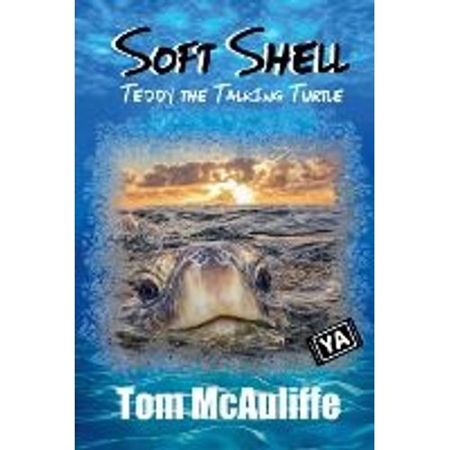 Soft Shell - Teddy The Talking Turtle