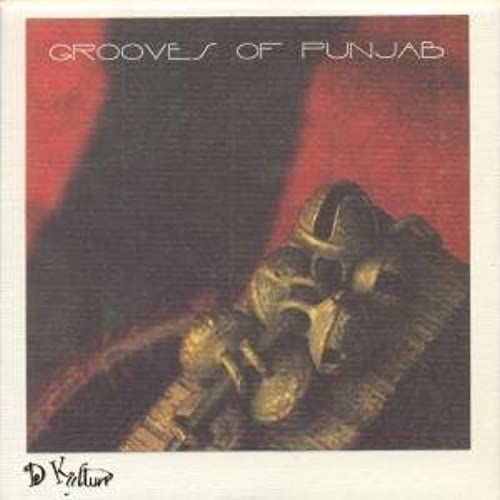 Grooves Of Punjab