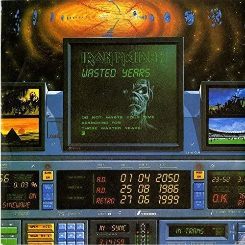Wasted Years [7"][Limited Edition]