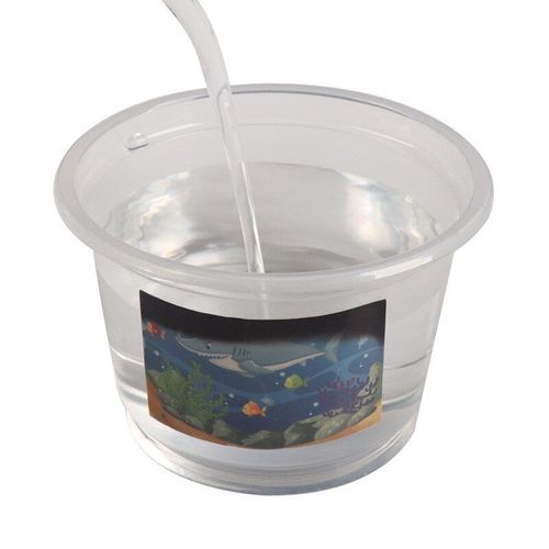 Jouets Scientifiques Créatifs, Poisson Sensible À La Température, Emballage De Matériel Scientifique Et De Technologie De L'école Primaire