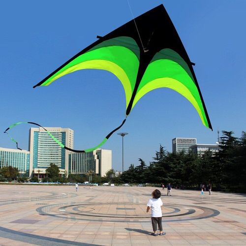 Cerf-Volant Géant De 160cm Pour Enfants, Jouet De Plein Air Amusant, Jeu De Vol Avec Ficelle De 30m