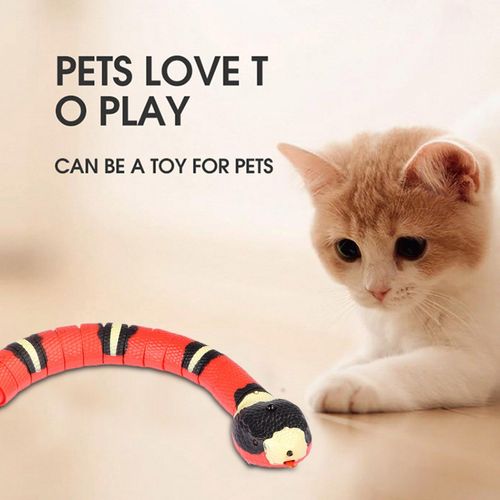 Jouets À Détection Intelligente Serpent Chat, Jouets Interactifs Électriques Pour Chats, Chargeur Usb, Accessoires Pour Animaux De Compagnie, Jeu Pour Chiens